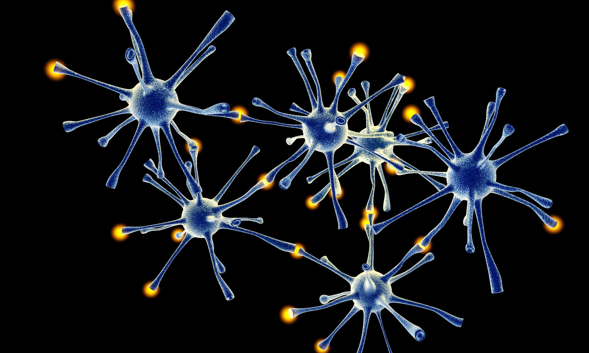 Use AMB NeuroMovement to learn